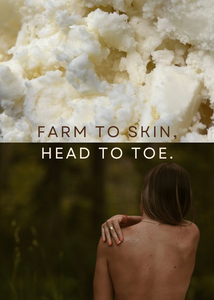 Grass fed organic beef tallow skincare canada